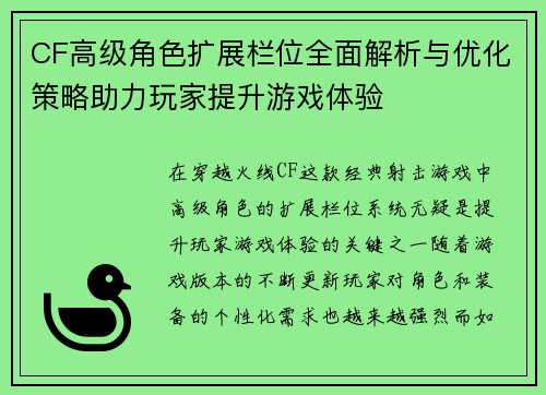 CF高级角色扩展栏位全面解析与优化策略助力玩家提升游戏体验