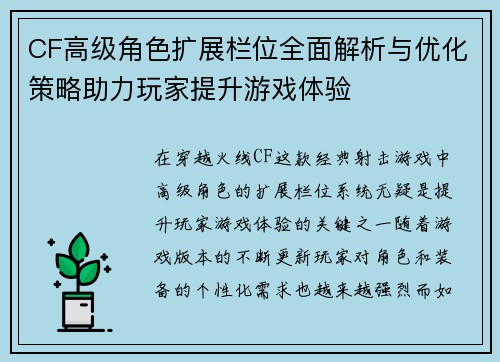 CF高级角色扩展栏位全面解析与优化策略助力玩家提升游戏体验