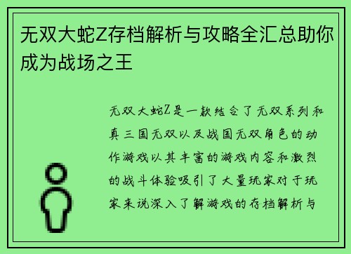 无双大蛇Z存档解析与攻略全汇总助你成为战场之王